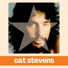 Cat Stevens