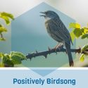 Positively Birdsong