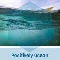 Positively Ocean