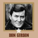 Country Music Radio - Don Gibson