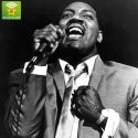 Exclusive Radio - Otis Redding