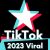 TikTok 2023 Viral